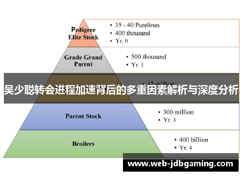 吴少聪转会进程加速背后的多重因素解析与深度分析