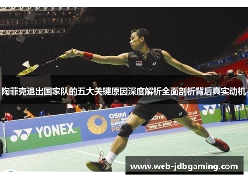 陶菲克退出国家队的五大关键原因深度解析全面剖析背后真实动机