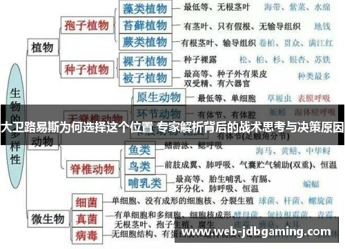大卫路易斯为何选择这个位置 专家解析背后的战术思考与决策原因